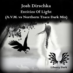 Entities Of Light (A.V.M. Vs. Northern Trace Dark Mix)