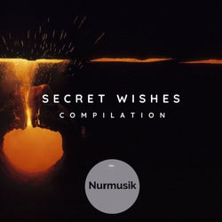 Secret Wishes