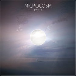 Microcosm 2