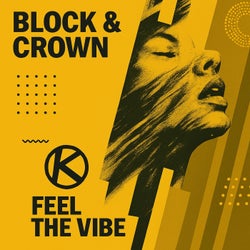 Feel The Vibe 