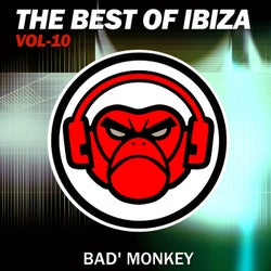 The Best of Ibiza Vol.10, compiled by Bad Monkey