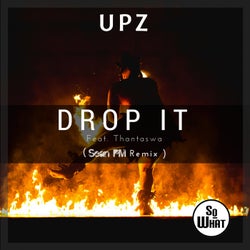 Drop It (Sean PM Mixes)
