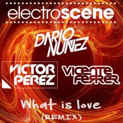 What Is Love - Remix