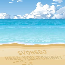 Svonedj - Need You Tonight