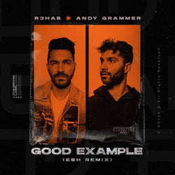 Good Example - ESH Remix