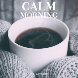 Calm Morning, Vol. 3 (Get Ready For The Day With This Fine Selection Of Chilled Lounge Tracks)