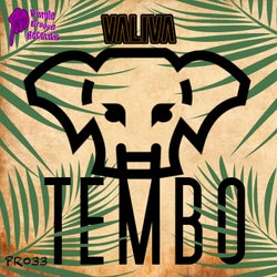 TEMBO