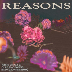 Reasons (Eddy Gronfier Remix)