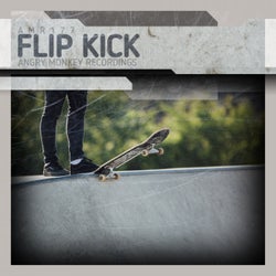 Flip Kick
