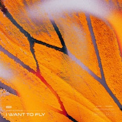 I Want To Fly