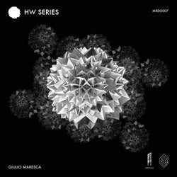 HW Series