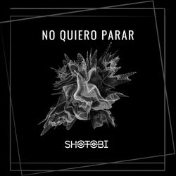 No Quiero Parar