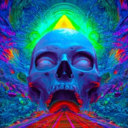 Echo Burn in the Absolute