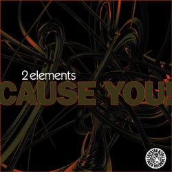 Cause You! (Remix)