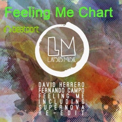 Feeling Me Chart