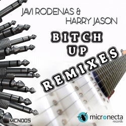 Bitch Up (Remixes)