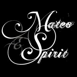 Mateo & Spirit - November Chart 2012