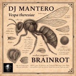 Brainrot