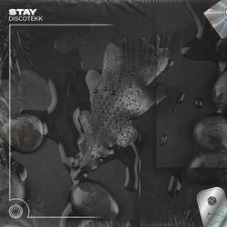 Stay (Extended Mix)