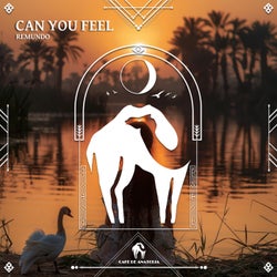 Can You Feel