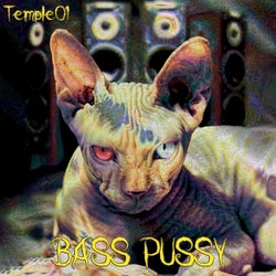 Bass Pussy