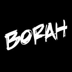 Borah June 2013 Chart
