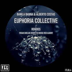 EUPHORIA COLLECTIVE (ORIGINAL MIX)
