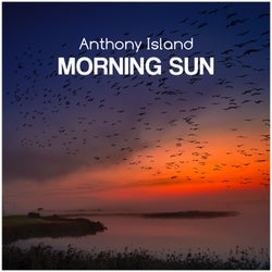 Morning sun