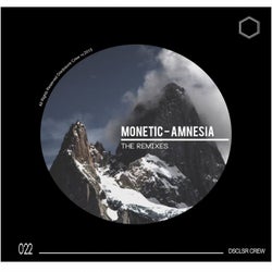 Amnesia Remixes