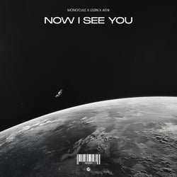 Now I See You