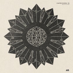 Capricorn 15