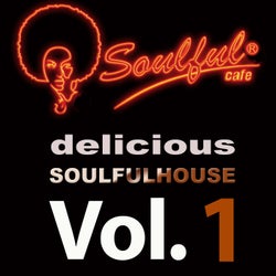 Delicious Soulful House, Vol. 1
