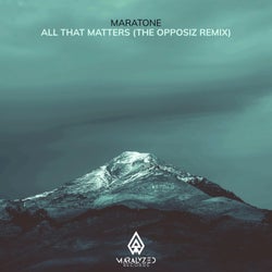 All That Matters (The Opposiz Remix)