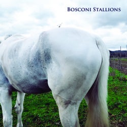 Bosconi Stallions Compilation - Celebrating 5 Years Of Bosconi Records