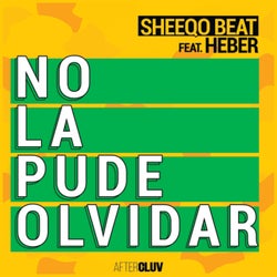 No La Pude Olvidar