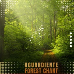 Forest Chant