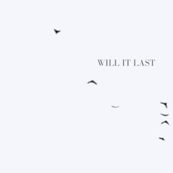 Will It Last