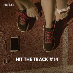 Hit The Track, Vol. 14