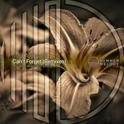 Can't Forget (Remixes)