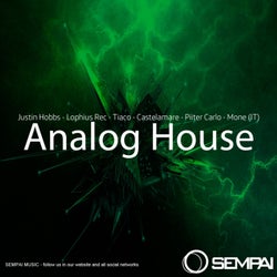 Analog House