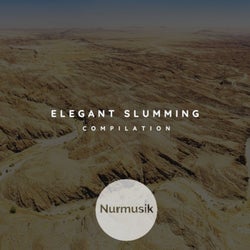 Elegant Slumming