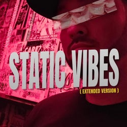 Static Vibes (Extended Version)