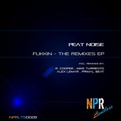 Fukkin - The Remixes EP