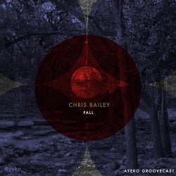 CHRIS BAILEY - AUTUMN/FALL 2013 CHART