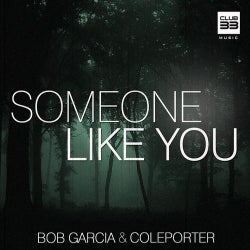 Someone Like You (Extended)