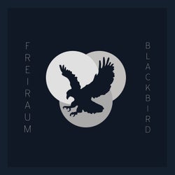 Blackbird