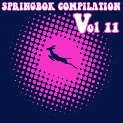 Springbok Compilation, Vol. 11