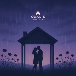 Shelter