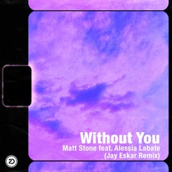 Without You  (Jay Eskar Remix)