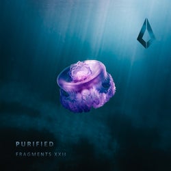 Purified Fragments XXII